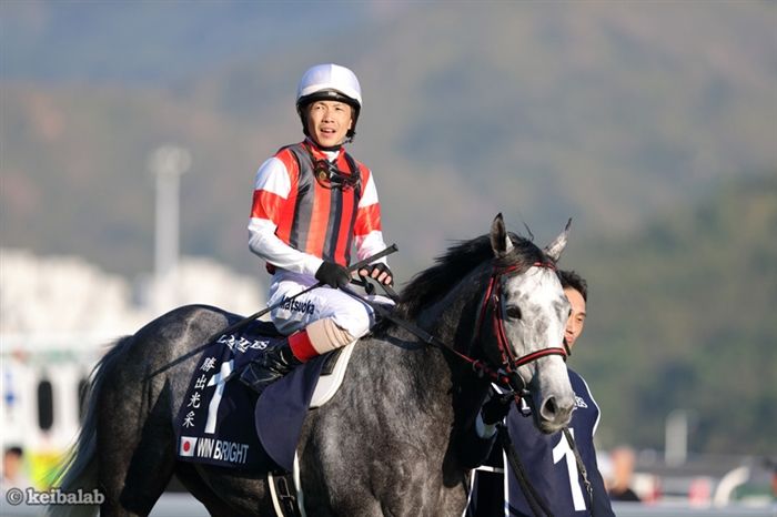 2019年開催 香港国際競馬 日本馬記念馬券-